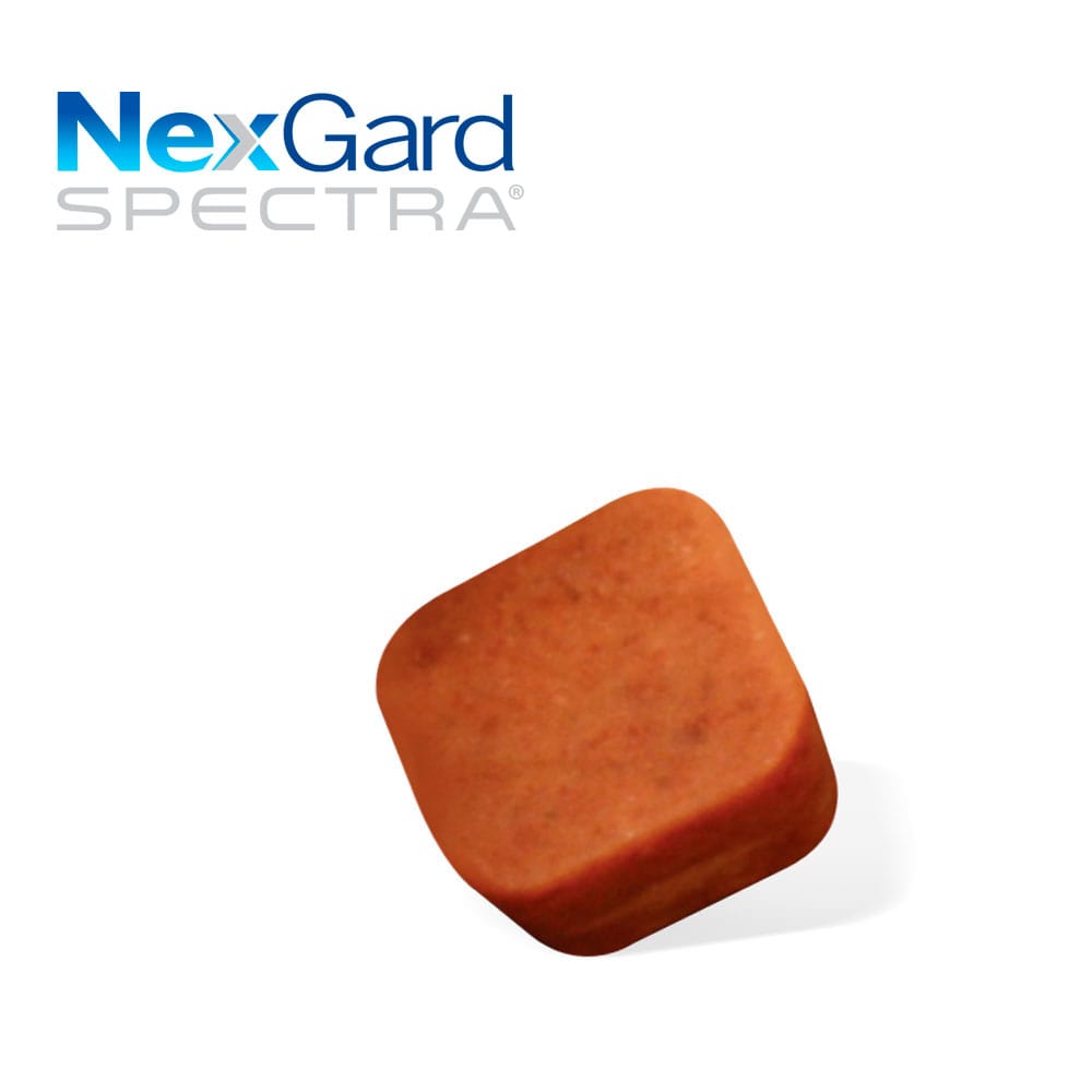 image_c57a6812-184f-4783-8678-b5f84b1bc0ce