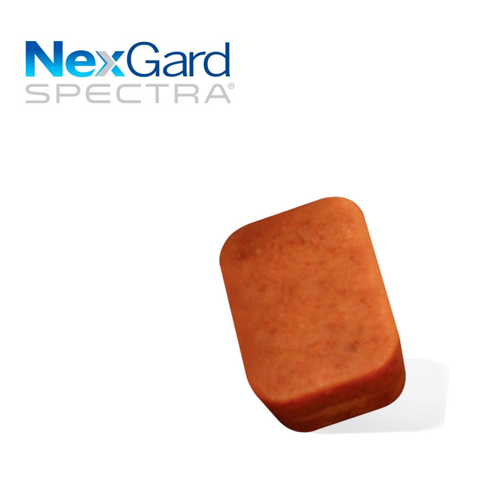 image_50454719-f542-43da-a5d2-45ab41ec53af