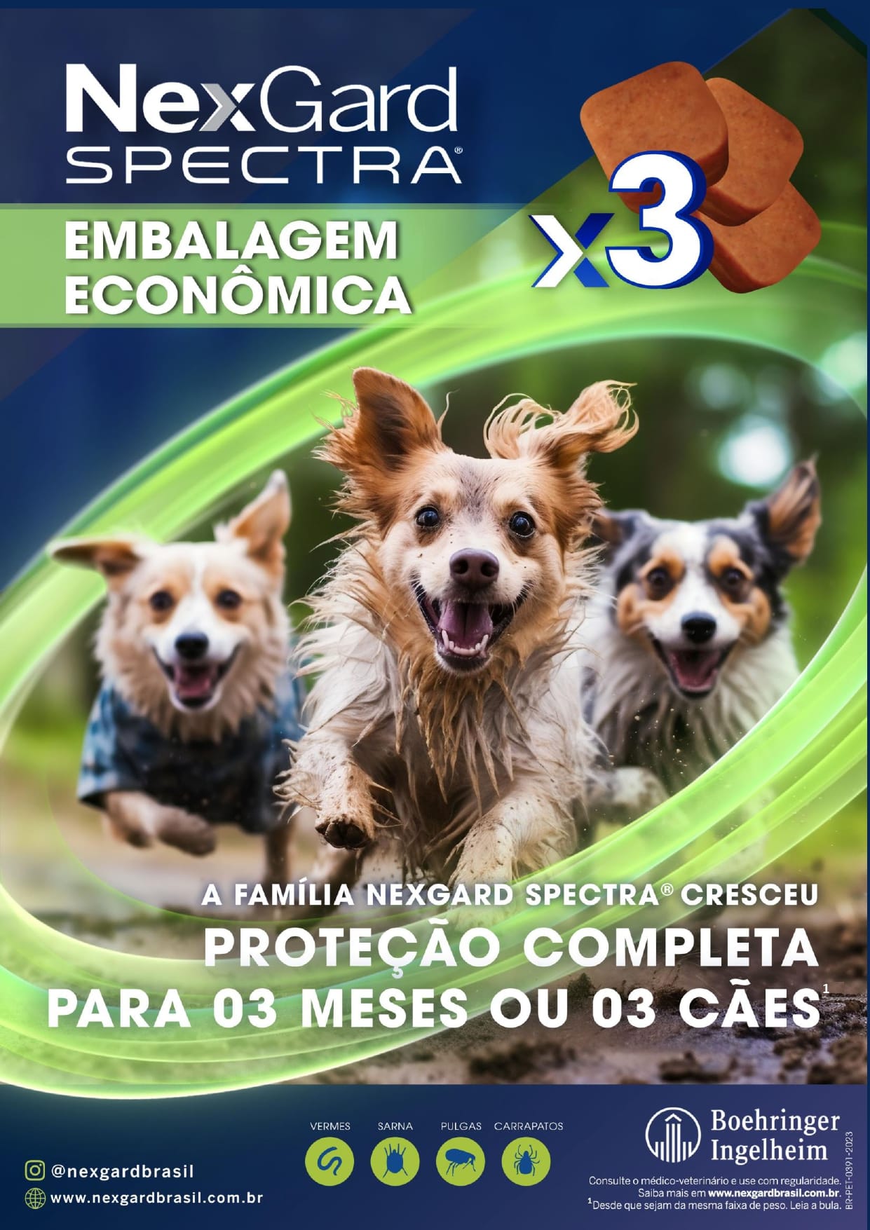 image_547814f0-9252-4d26-8569-07a36ddaba80