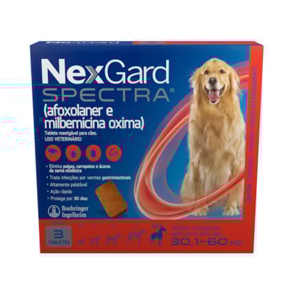 image_ed862047-6299-40b7-9853-ab0360361746