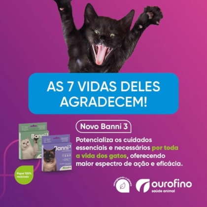 image_35e72284-fd04-4303-9034-cf66e6a6017a