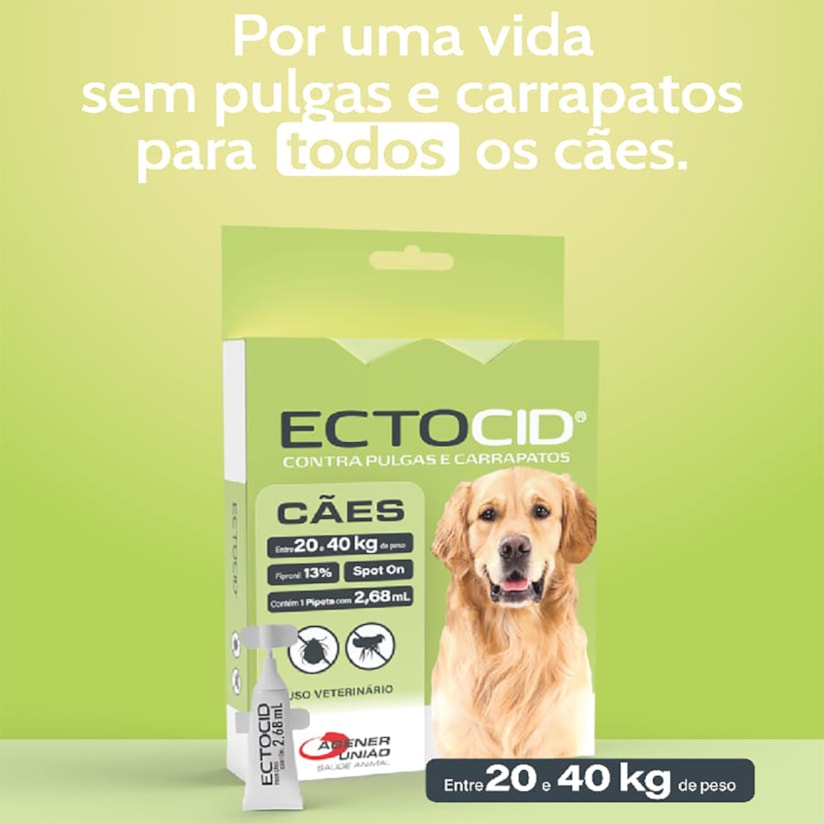 Product main image - 2f7dd082-8b50-4b62-919e-280e65610242