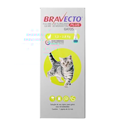 image_d91e72bb-6467-4498-8e50-8f889ecabaf7