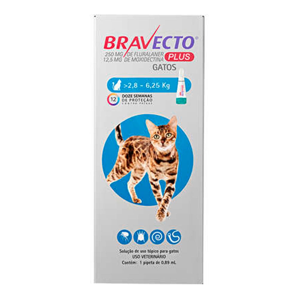 image_9bd29324-c2c7-4d38-8b8c-619e30a2f03b