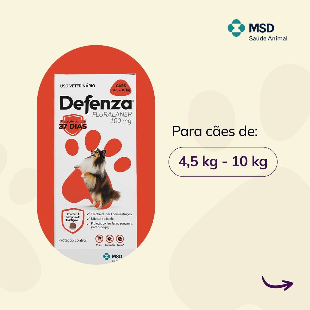 image_2ab5457c-4b42-43a7-bb4e-8694ea88e043