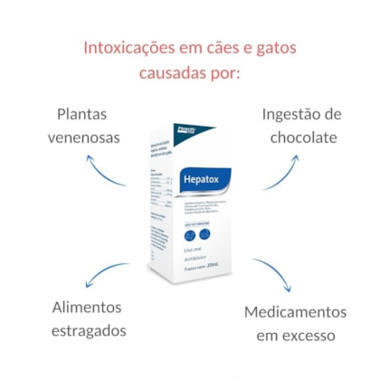 image_900fb777-043c-4875-b916-51461af37482