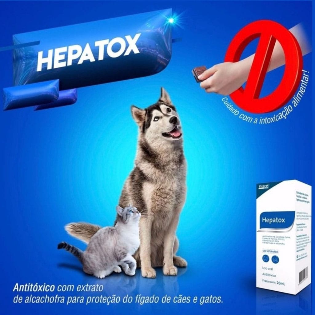 image_81886a4a-2b5e-4382-a36f-bb0692b639bf