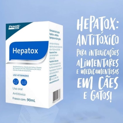 image_749e5a08-5a5d-4ef4-aacf-d7be65870f0a