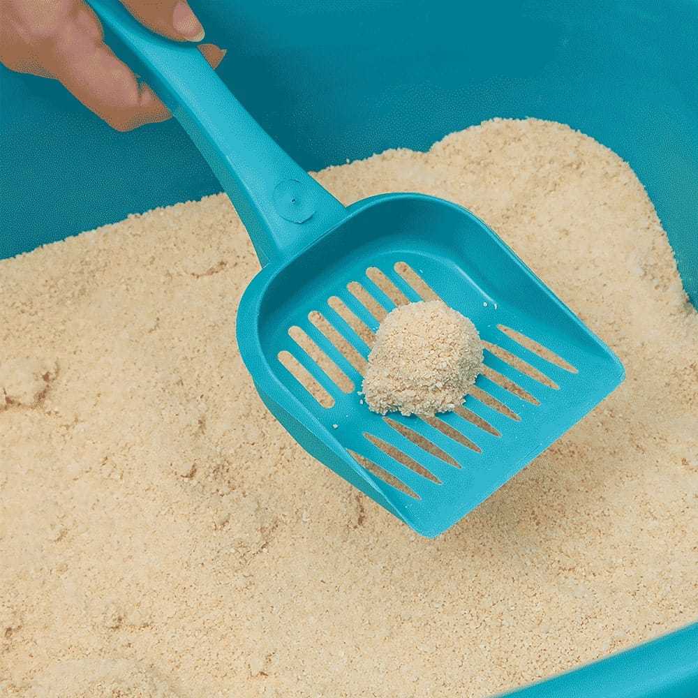 image_d2a8e856-c422-400e-bdc3-a73a93a2d453