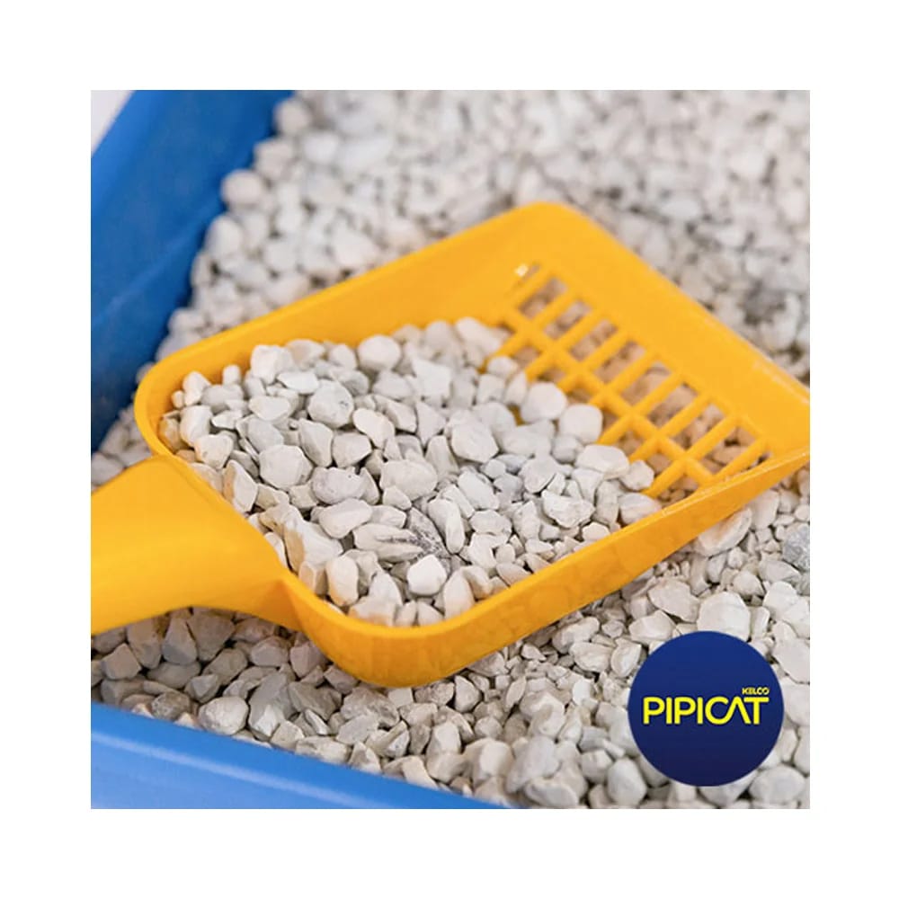 image_132b5043-341f-4ec2-82dc-0a2c150d6fc5