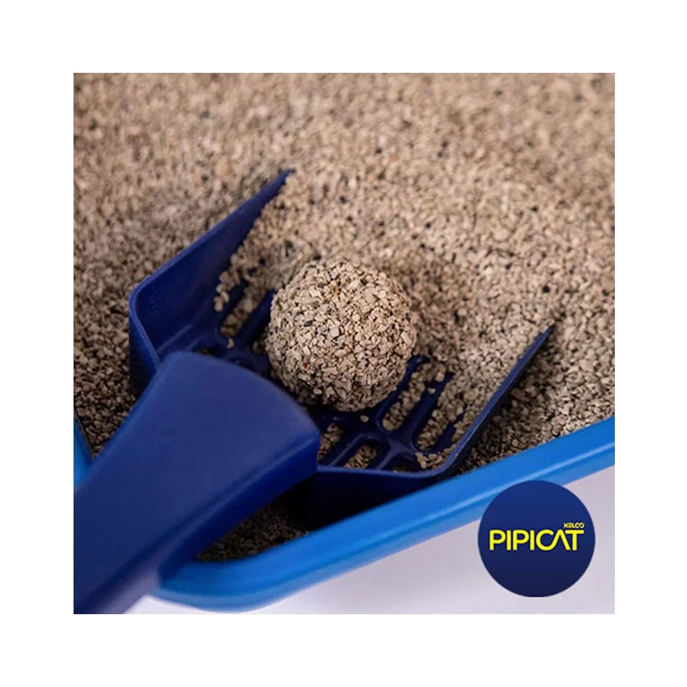 image_3ccb4d5a-8bc7-445e-b3c8-e04607023f9d