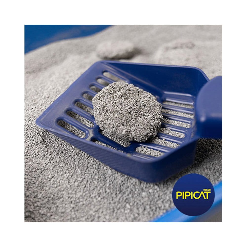 image_8e39642d-4e57-446b-8d49-e2a16175070a