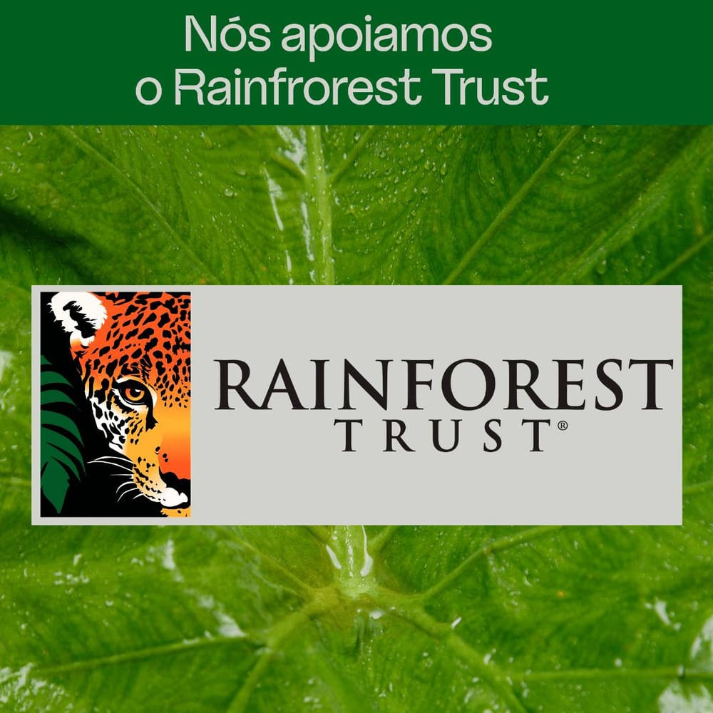 image_c00ca1dc-a63f-4a33-b426-b102615be25a