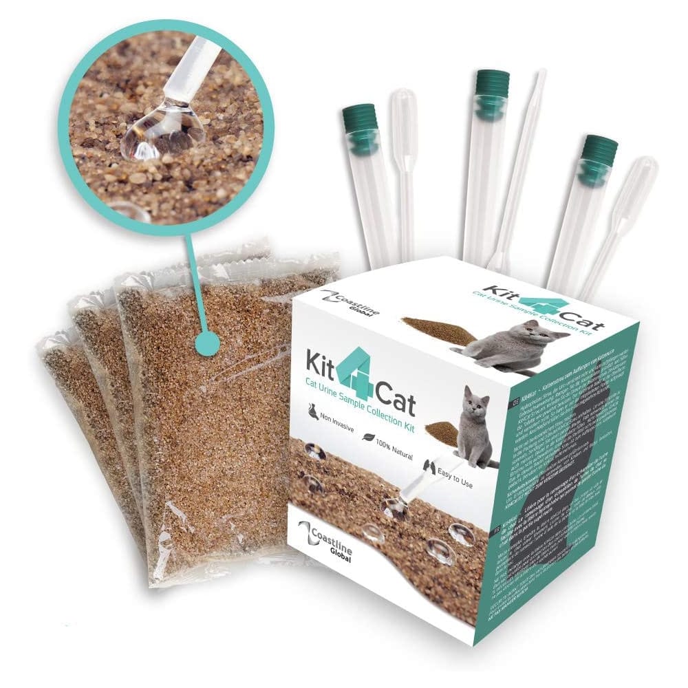 image_58e8dac0-c6ba-4fd8-87d7-00dcc36dd409