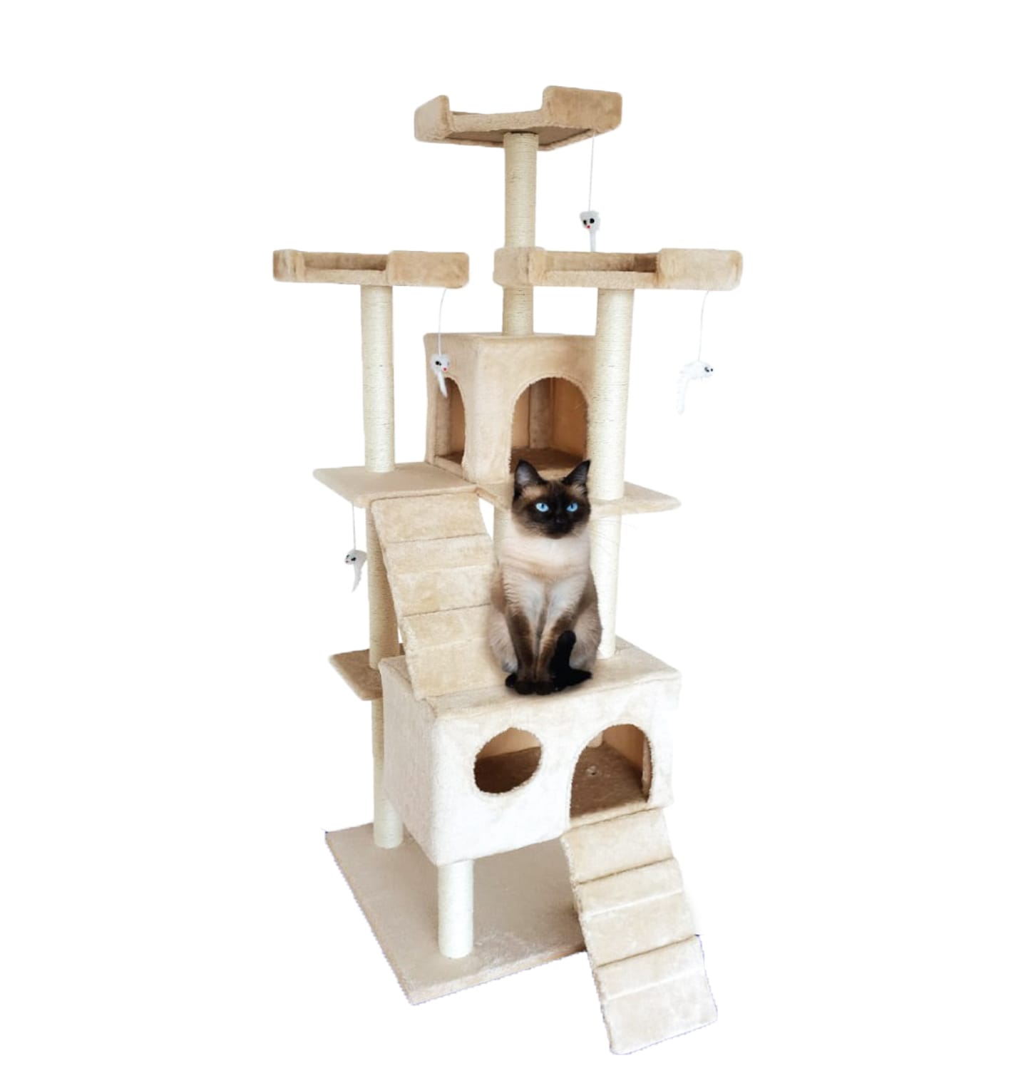 image_fa1f9382-2236-41b6-93a9-96174f51fe56