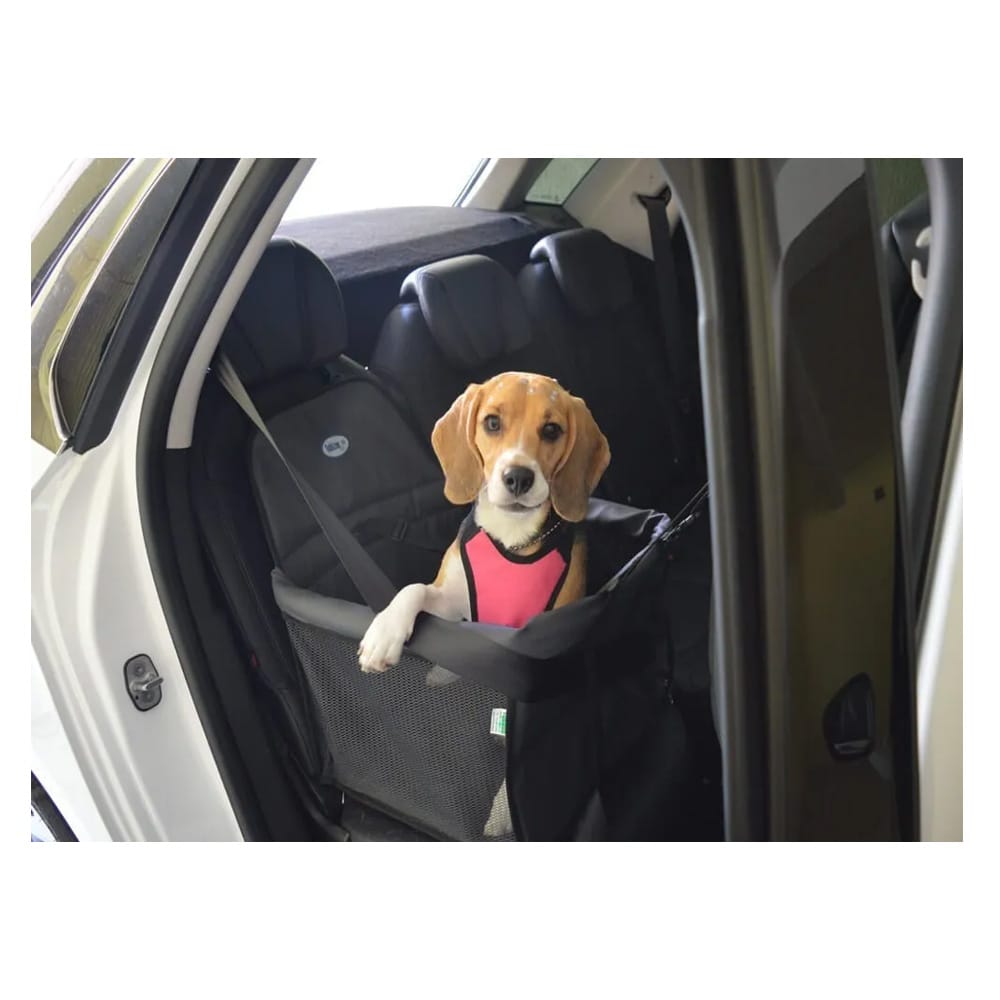 image_1015f11e-be69-42d8-b504-33daac0f8559