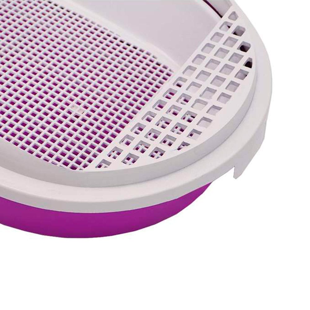 image_8710e1e8-11cb-45fb-8d93-49cd8802cca3