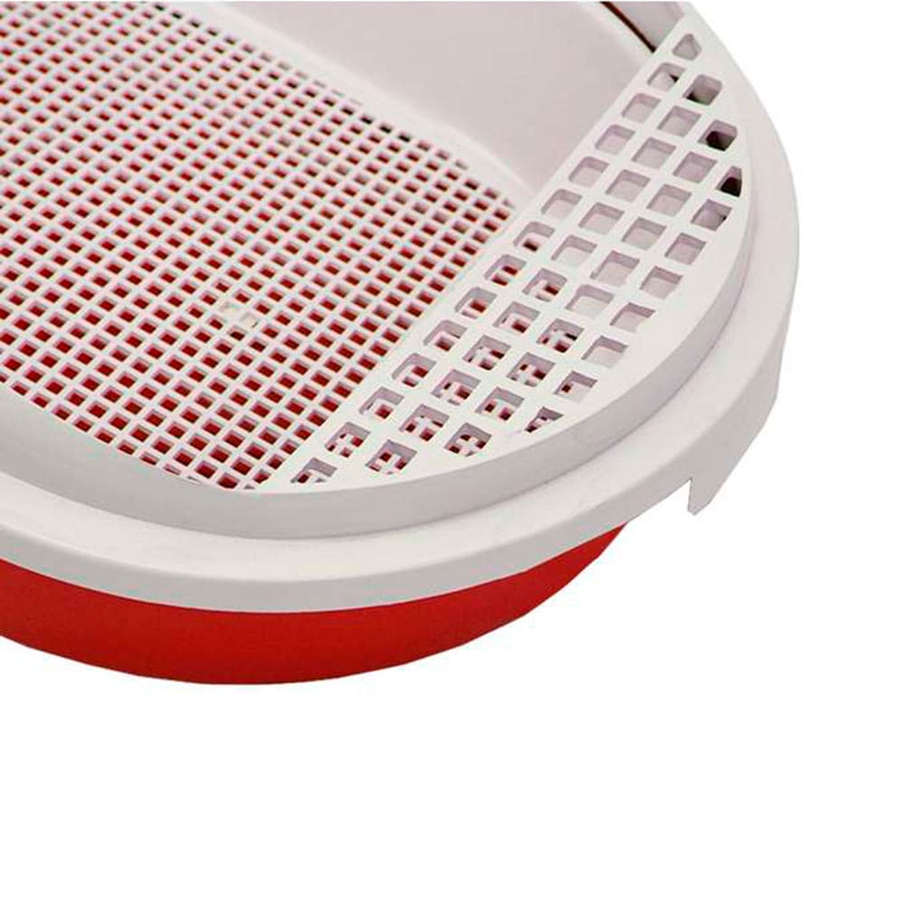 image_633f6b1d-14c3-4fc3-9880-ef7fa90b330d