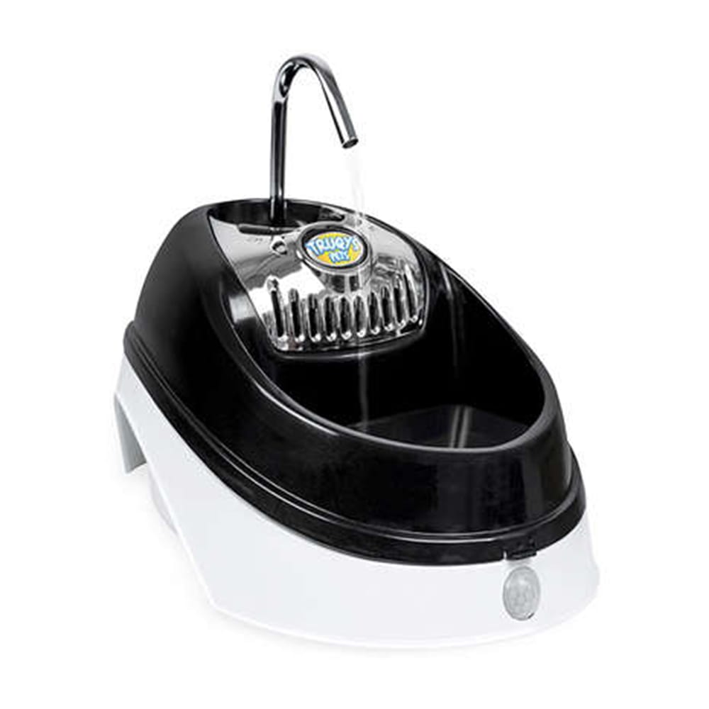 image_af9e6e8d-2a2c-41aa-9279-508be98b5018