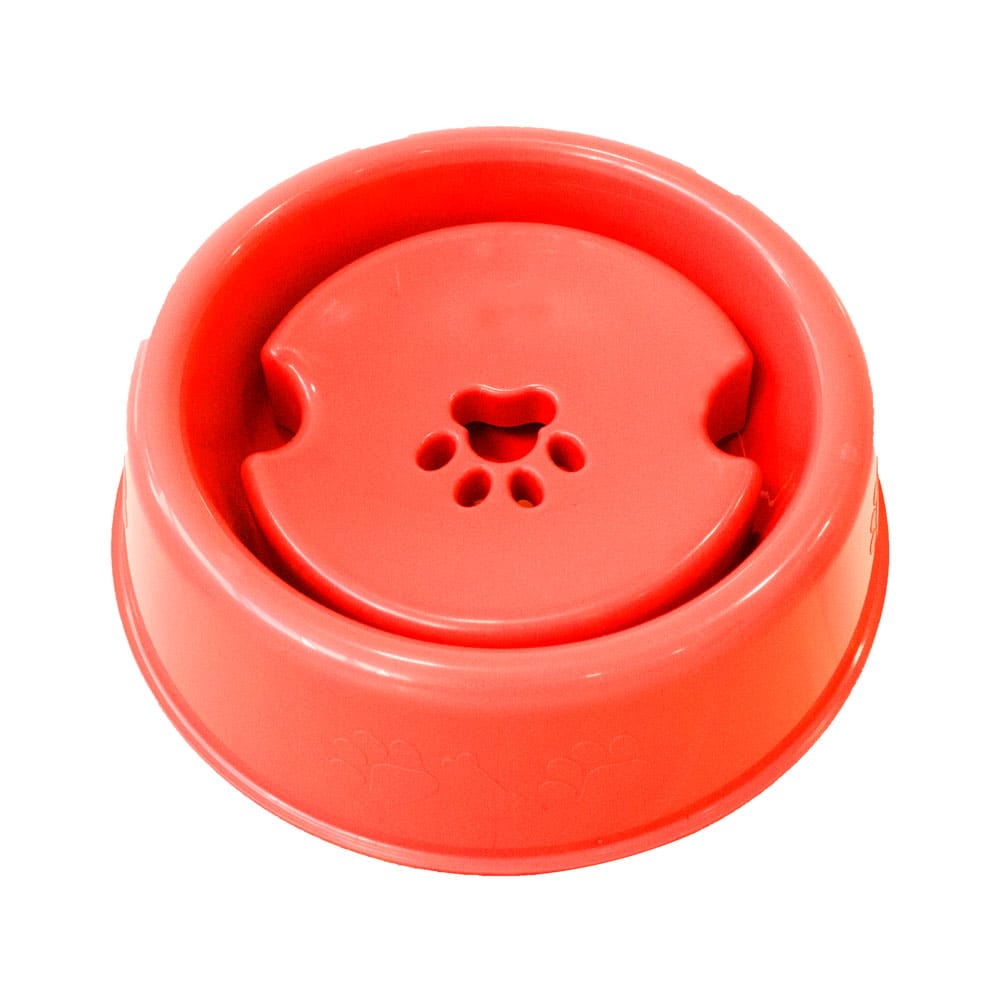 image_0ad5362e-b6f3-4f89-a20b-7b70f8c3b007