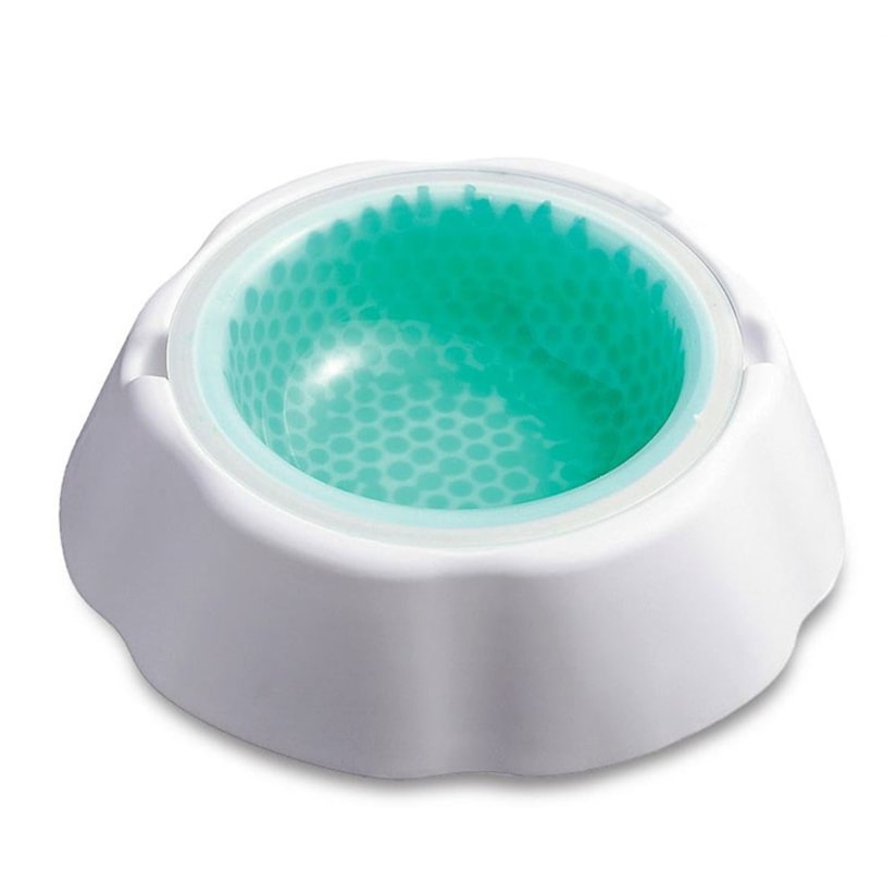 Product main image - 5a05a8f8-6013-4a5b-9ced-87d7230d8f92