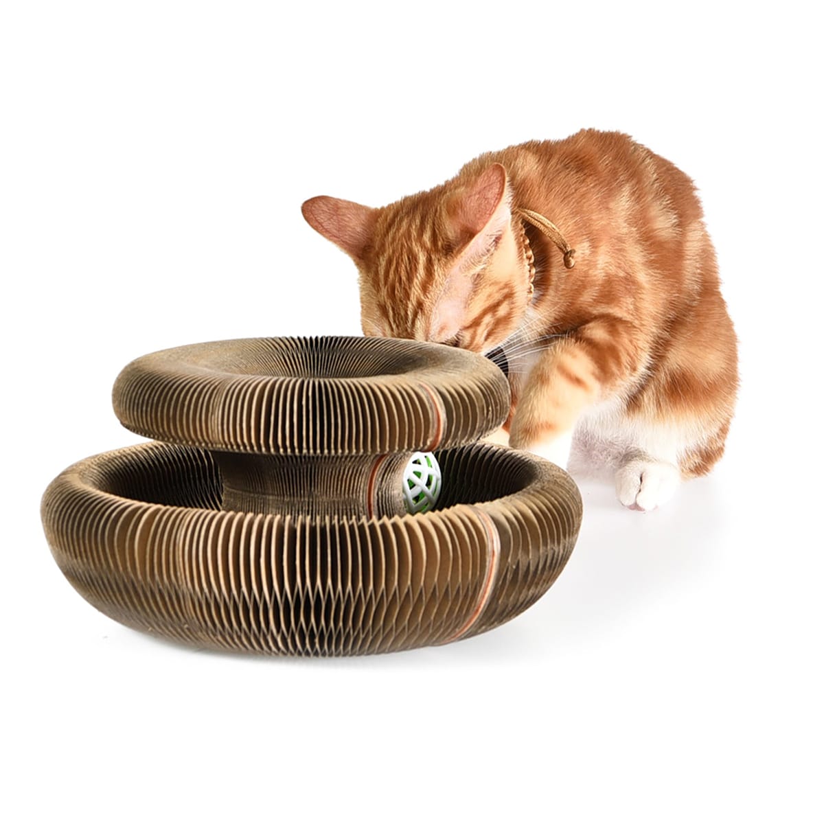 image_9f7f3bdd-5cbf-43ad-a9ae-ce4a8a377aa8