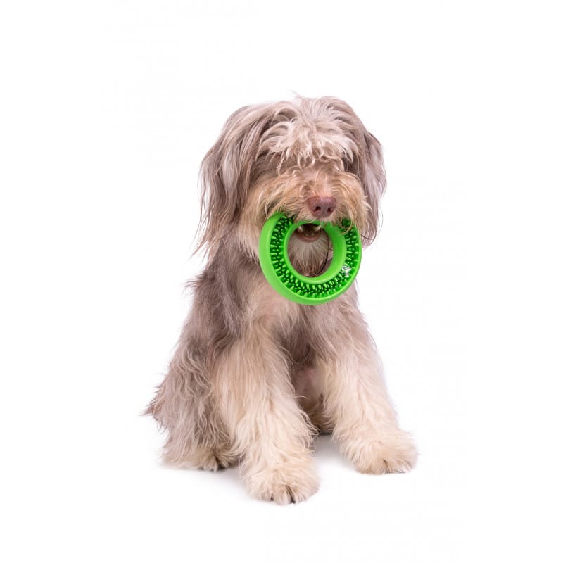 image_96326d6c-4695-4a2e-8c76-a4fba5670b33