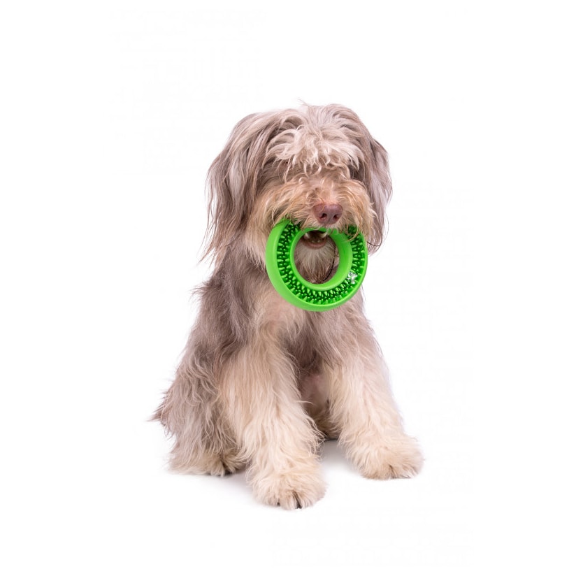 Product main image - 19adff77-2025-4e12-8e2c-8552f1fcaa37