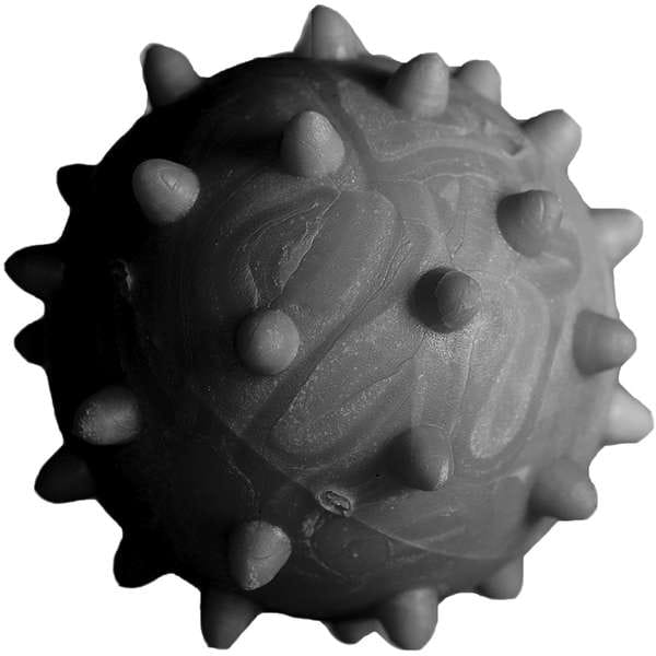 image_27b9fd79-def0-4303-9ee9-b38b5aded8d0