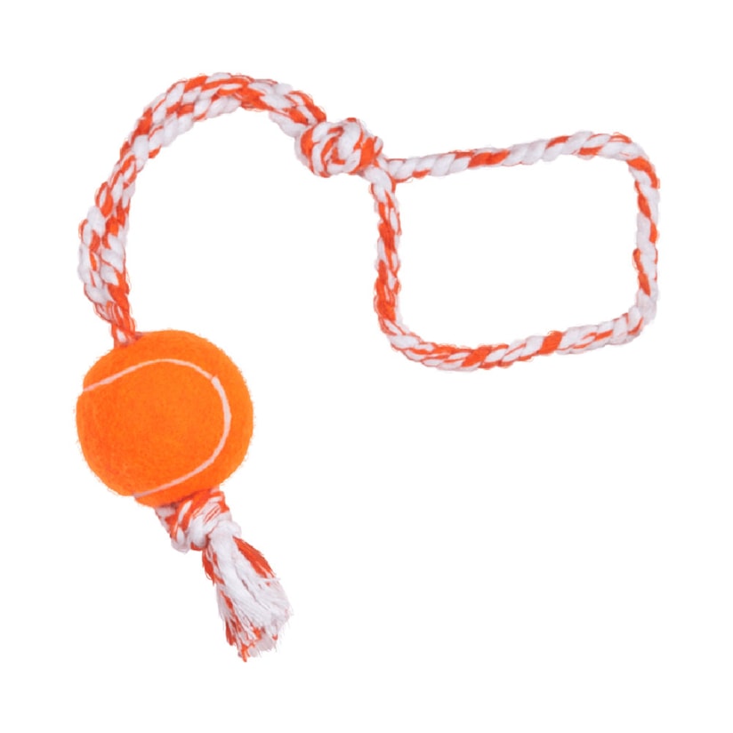 Product main image - 25847ce8-2265-4846-9f4b-aa73ee251107