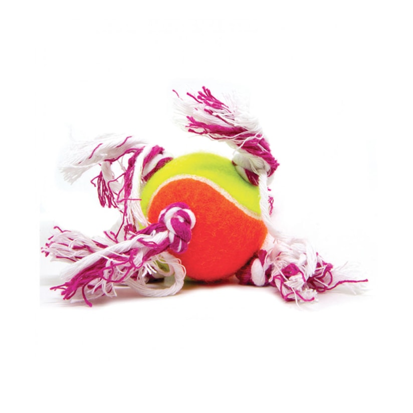 Product main image - a7bdc478-3b8e-482d-84f0-2bb587c6db56