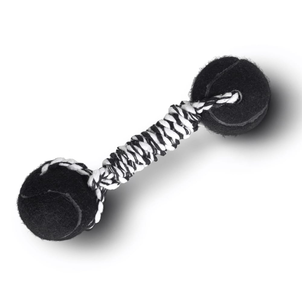 image_a0fec663-aa60-4e49-be3b-d0c638d63e85