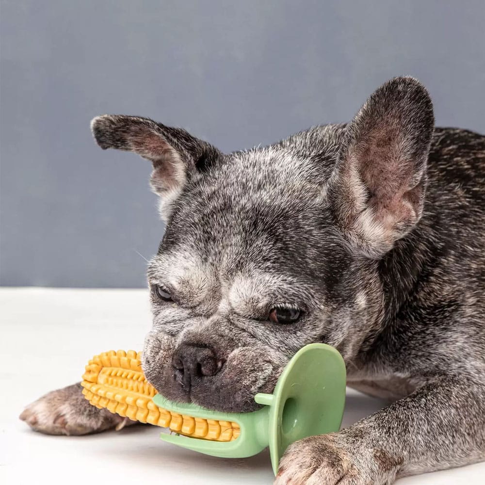 image_c86eb4cf-c617-47d5-aeab-a0d6f12548ce