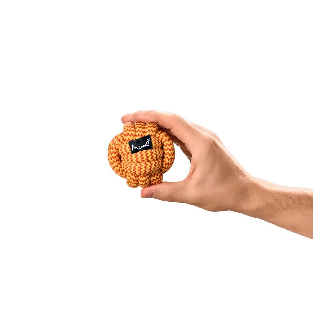 image_fe835056-f9cf-48fc-a8a2-607411440a6f