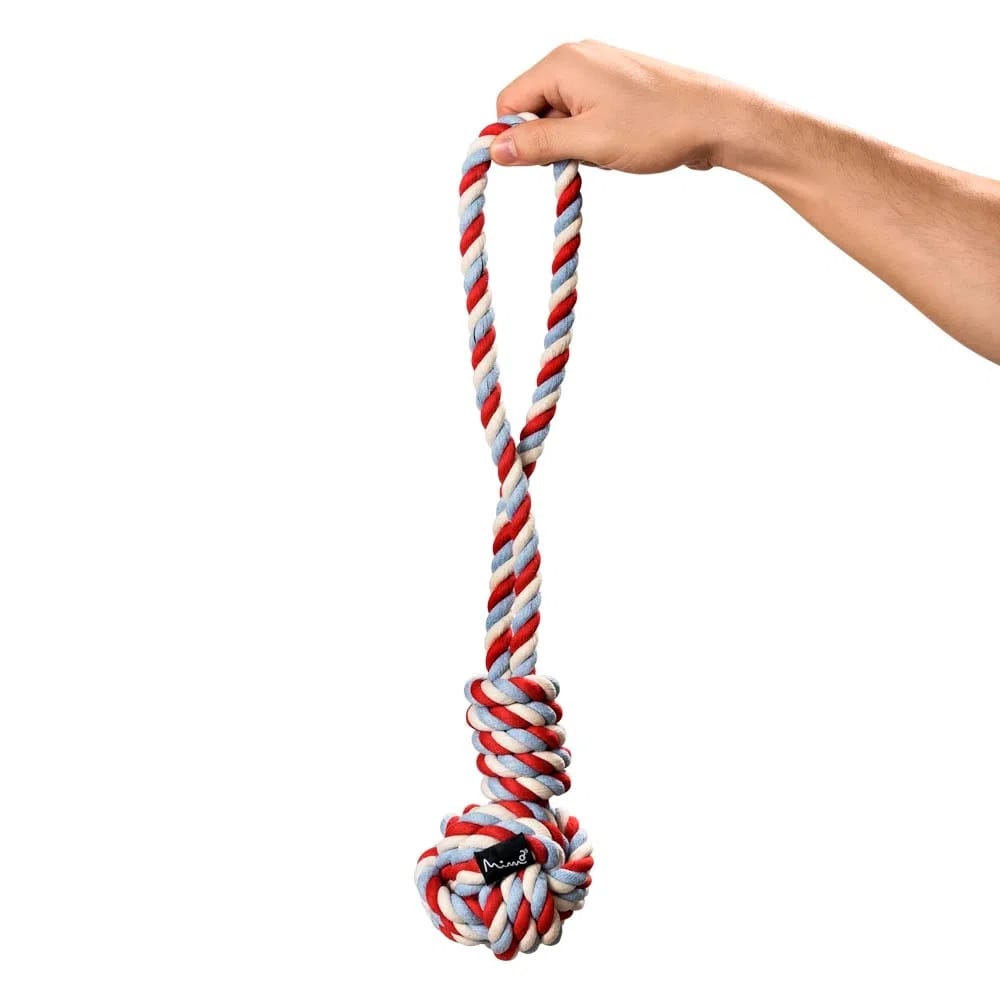 image_646c51d7-c1c4-4496-8e03-09387bb7e7f9