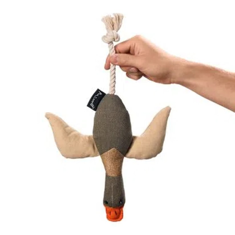 Product main image - bc486efa-aedc-478e-9171-5e40cd9469d0