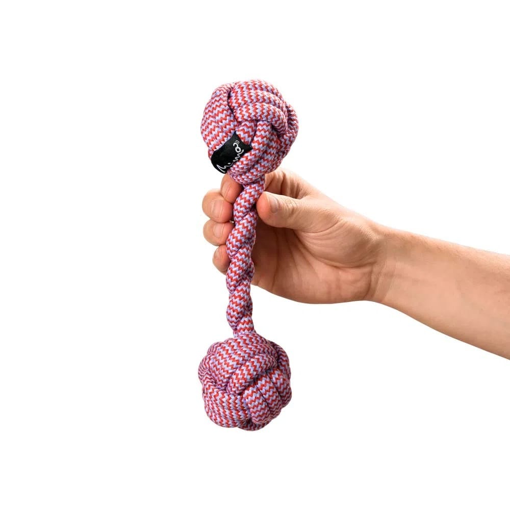 image_0d2e5fdd-3a8e-4668-b837-6e7758e09128