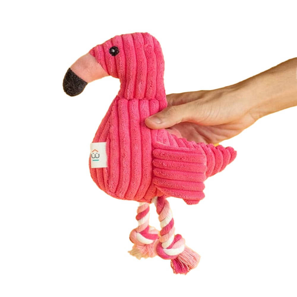 image_4ae38eb8-4865-48cf-9862-ec7122a2febc