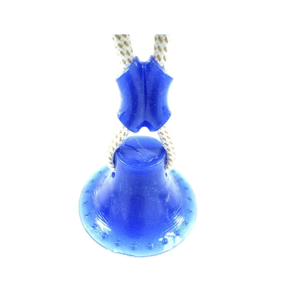 image_ec02ed93-9efa-4205-8773-f471ff409f54