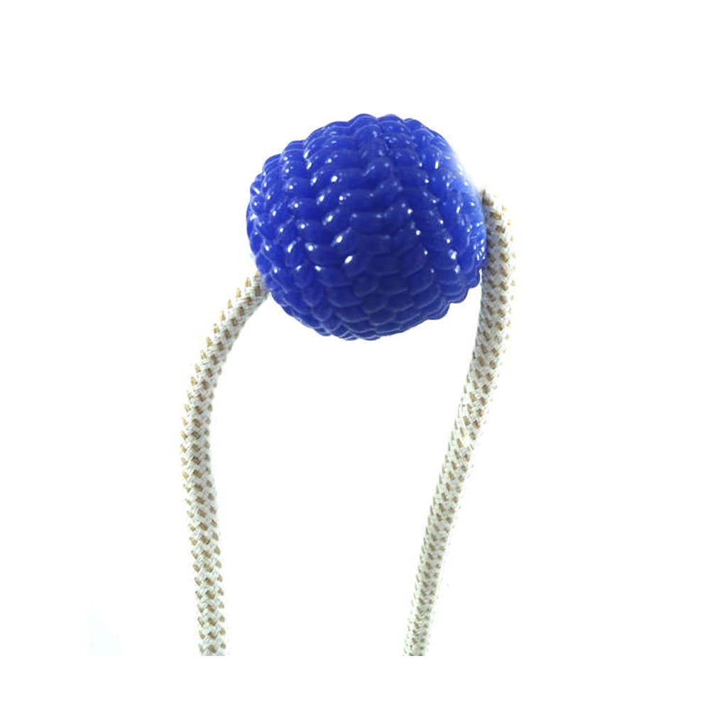 image_f9c8f43d-a30a-49bd-849d-a0424781a1dd