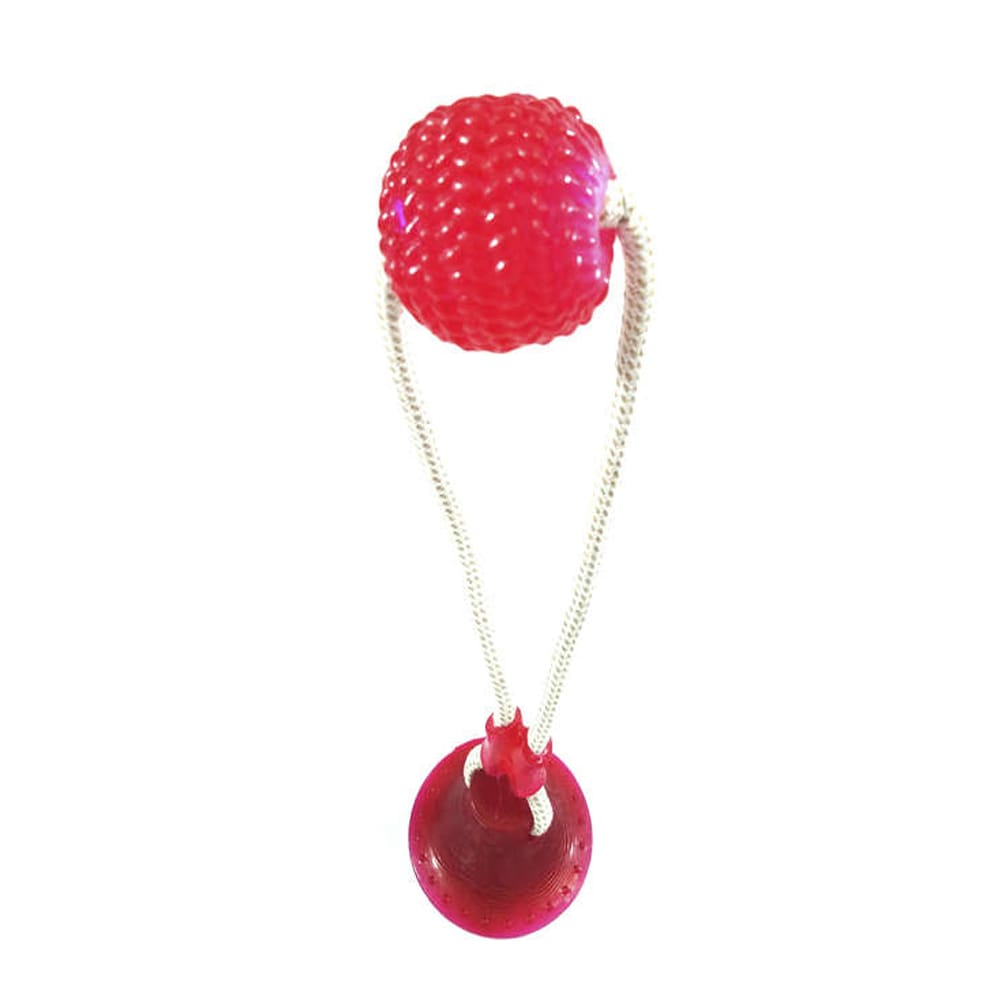 image_dcd5e46f-ff7d-4c2c-9e9b-05c1937e894d