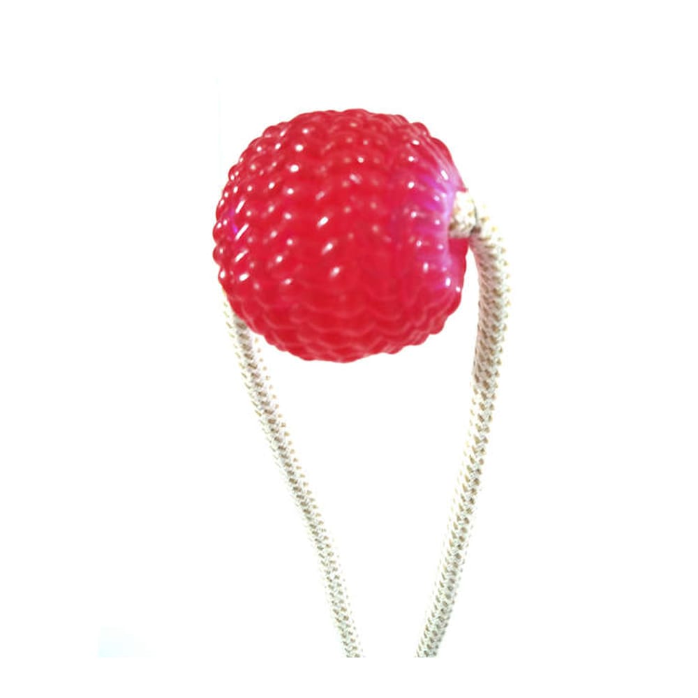 image_9004c958-7d60-4003-9f12-226bb7cba7d1