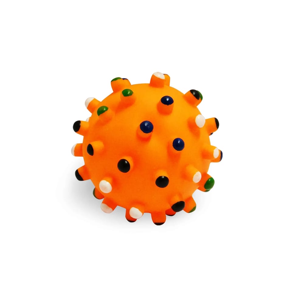 image_508a2346-99d4-4bbd-bd4a-c3989b789719