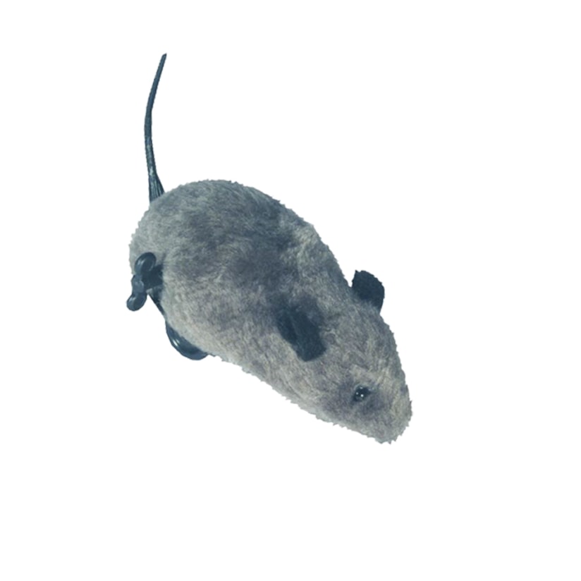 Product main image - 3c97bdb9-b1e3-430e-90dd-3f09c50bfad5