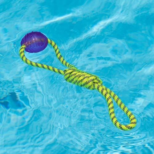 image_f2bcfbab-4d45-49eb-90c1-a70b3017cb62