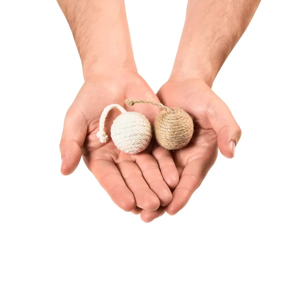 image_53eee63d-2816-471d-884e-91688a6440d1