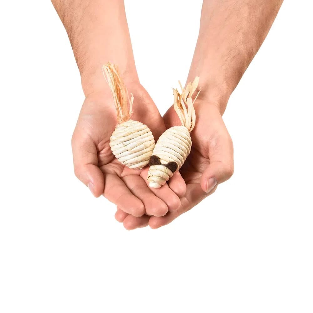 image_844e1e34-2e17-493f-a96b-34e8536539aa