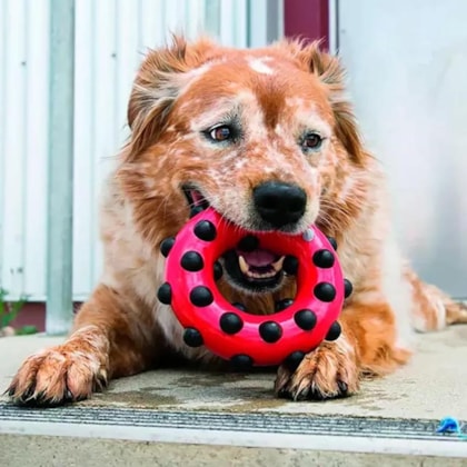 image_11648728-d48a-4639-a297-8d4332a3eea4