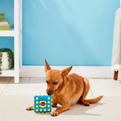 image_a1966ed8-5a66-4498-814d-f01475c6ef0c