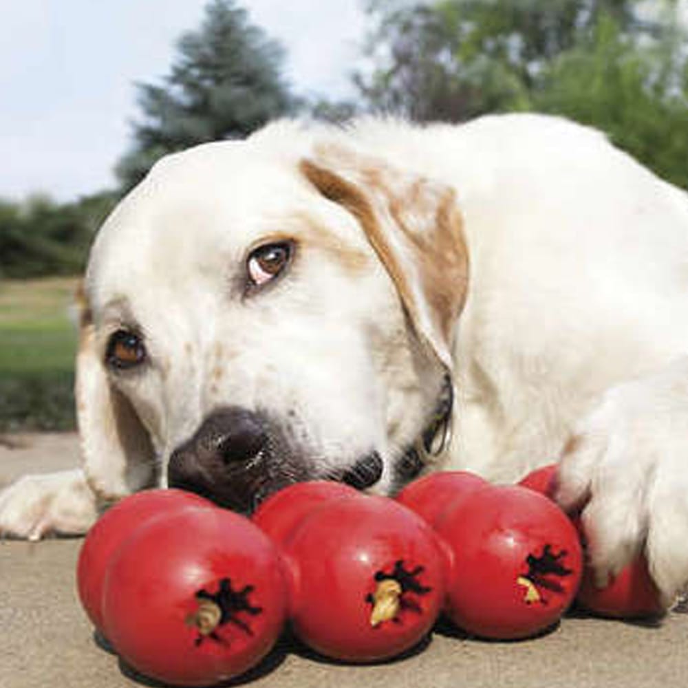 image_55ac9e34-65e1-4461-982a-b26b29dbe827